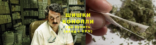 spice Аркадак