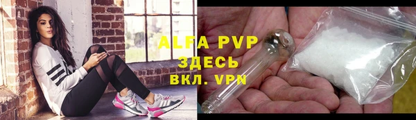 spice Аркадак