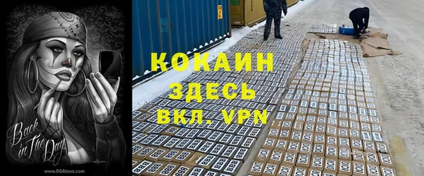 крисы Новокубанск