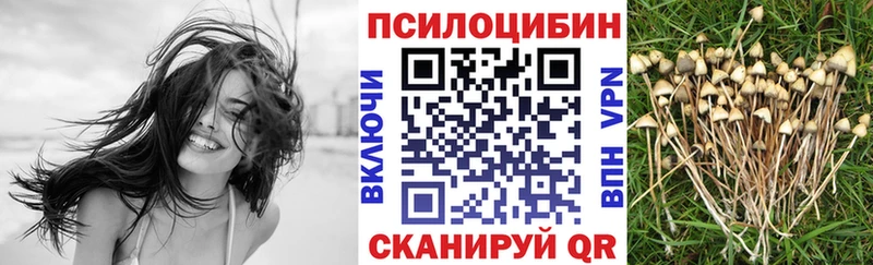 Псилоцибиновые грибы GOLDEN TEACHER Иннополис