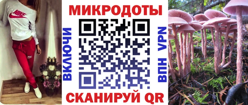 магазин продажи Иннополис Галлюциногенные грибы Psilocybine cubensis